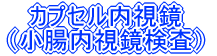 カプセル内視鏡 (小腸内視鏡検査)
